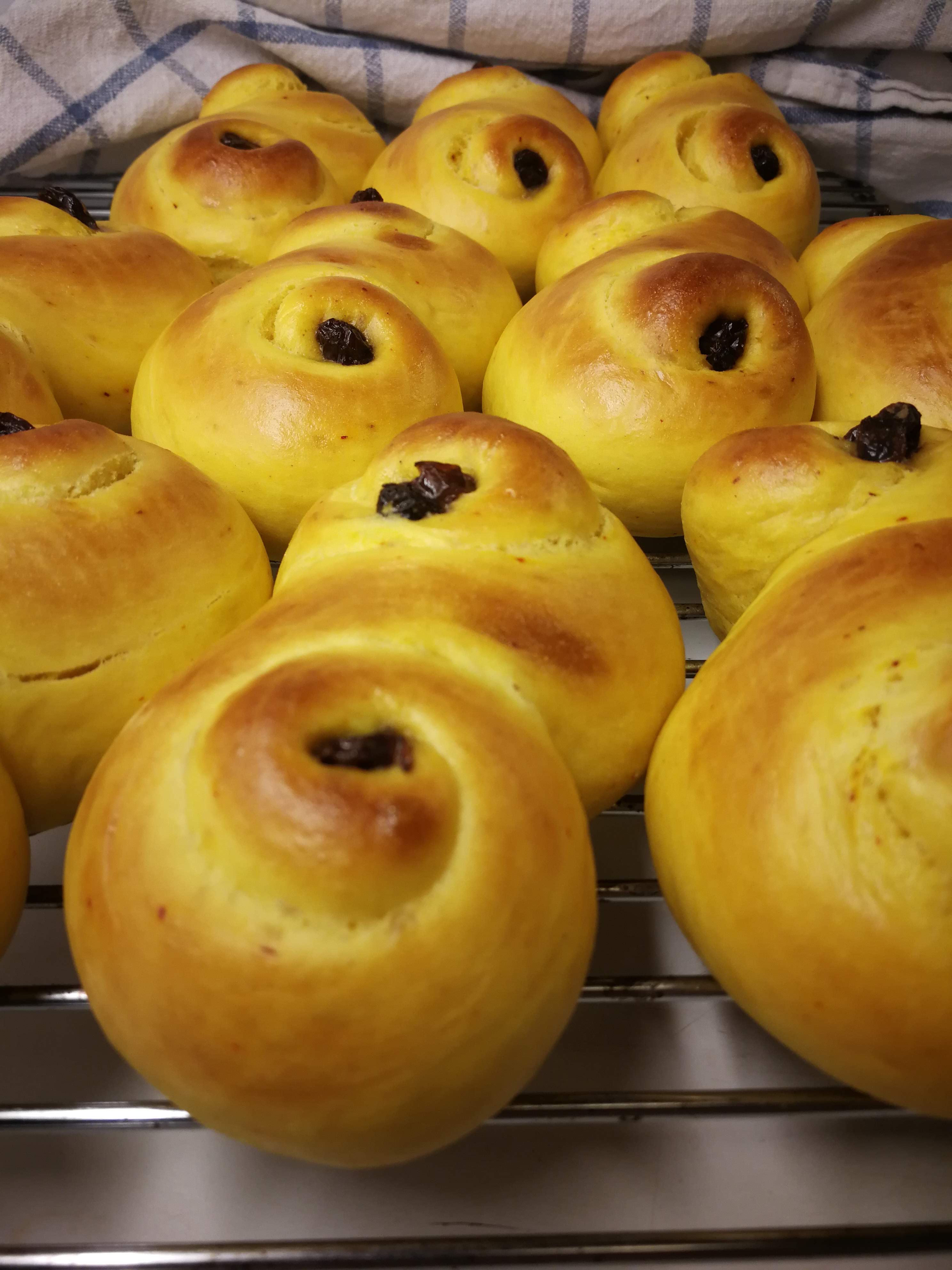 Lussekatter